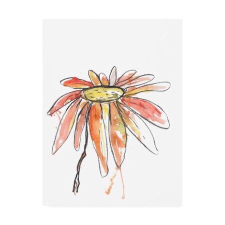Trademark Fine Art Jan Weiss 'Orange Modern Botanical
